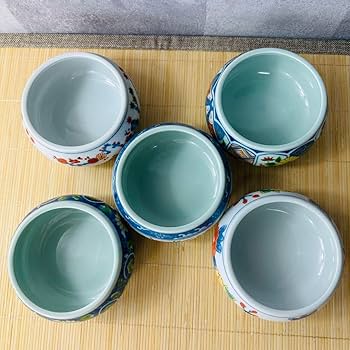 Amazon.co.jp: 有田焼 愛信窯 プラ蓋付き小鉢揃 絵違い 5個セット 箱付