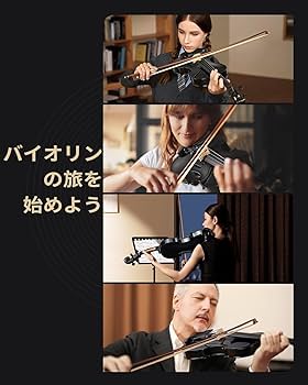 上質ドイツ製】 Wilhelm Raum 2つ星 バイオリン弓 4/4