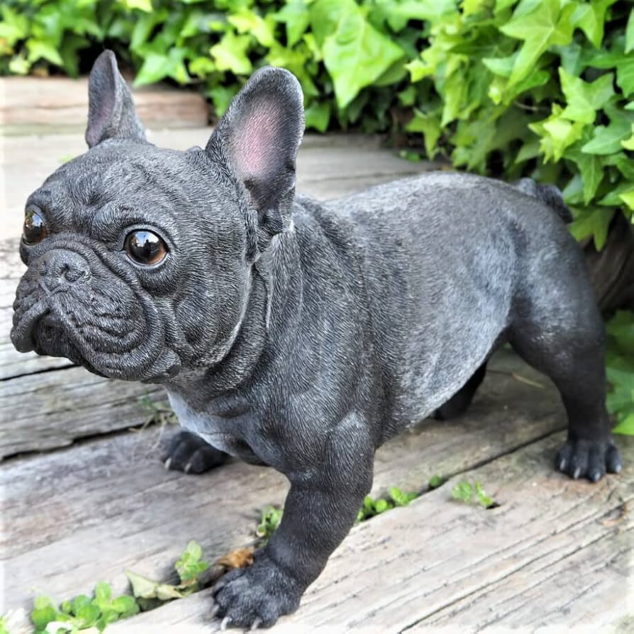 Amazon.co.jp: 犬の置物 フレンチブルドッグ N13886 黒フレンチ