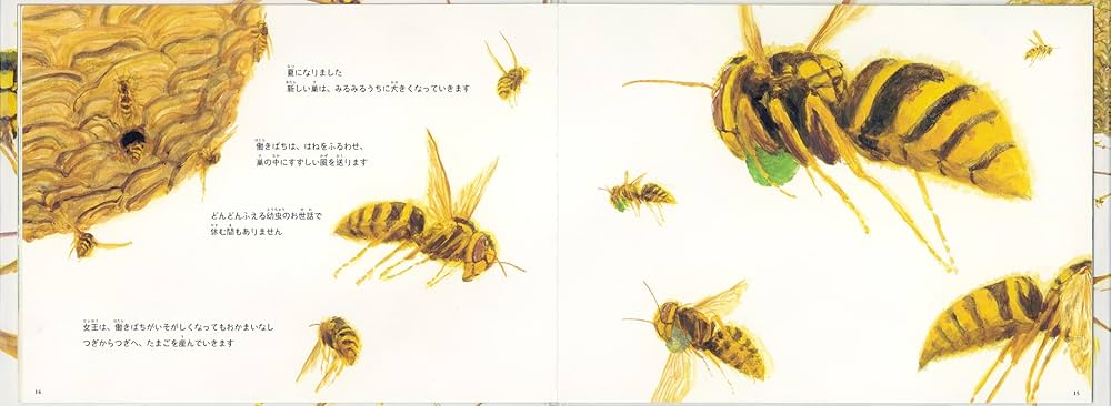 すずめばち (福音館の単行本) | 舘野 鴻 |本 | 通販 | Amazon