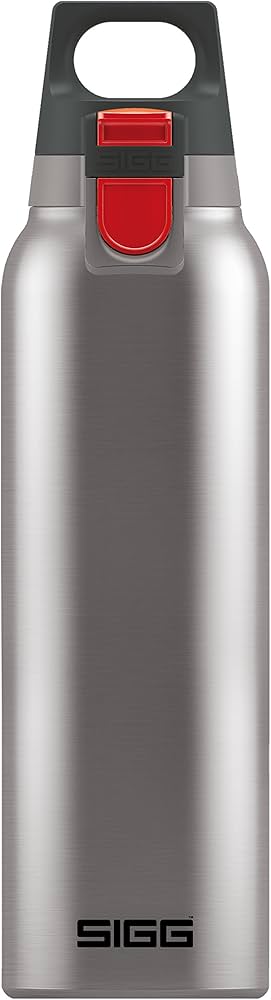 Amazon.com: SIGG - Thermo Flask Hot & Cold ONE - Insulated Water