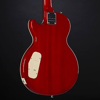 Amazon.com: Epiphone Slash 