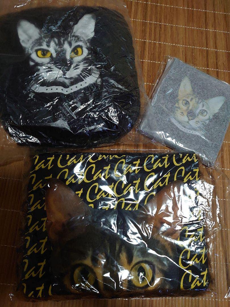 Amazon.co.jp: BUCK-TICK あっちゃん櫻井敦司 猫くるみ ミラー バック