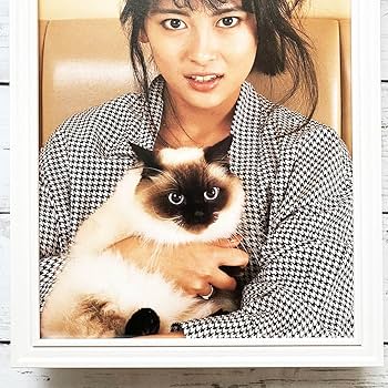 Amazon.co.jp: 額装品中山美穂 80年代アイドルグラビア若い頃ポスター