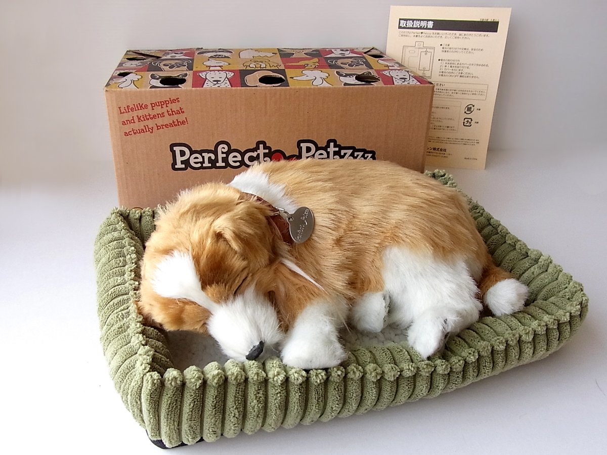 Amazon.co.jp: ニニアンドキノ パーフェクトペット (小サイズ