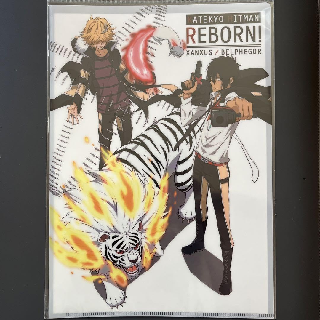 Amazon.co.jp: 家庭教師ヒットマンreborn！ a4クリアファイル売り : ホビー