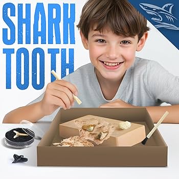 Amazon | Eggbox 鮫の歯発掘キット – 6歳以上向けの化石発掘キット