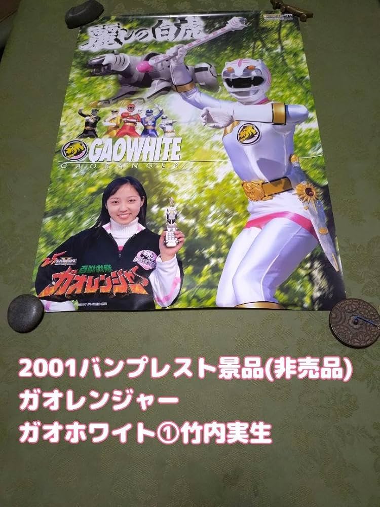 Amazon.co.jp: 百獣戦隊ガオレンジャー ガオホワイト大河冴B2サイズ