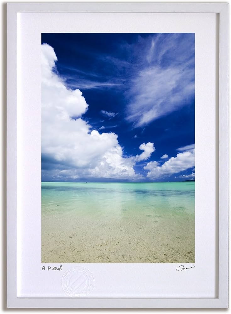 Amazon.co.jp: アートフォト 絵画 壁掛け 南国ビーチ （沖縄県 竹富島