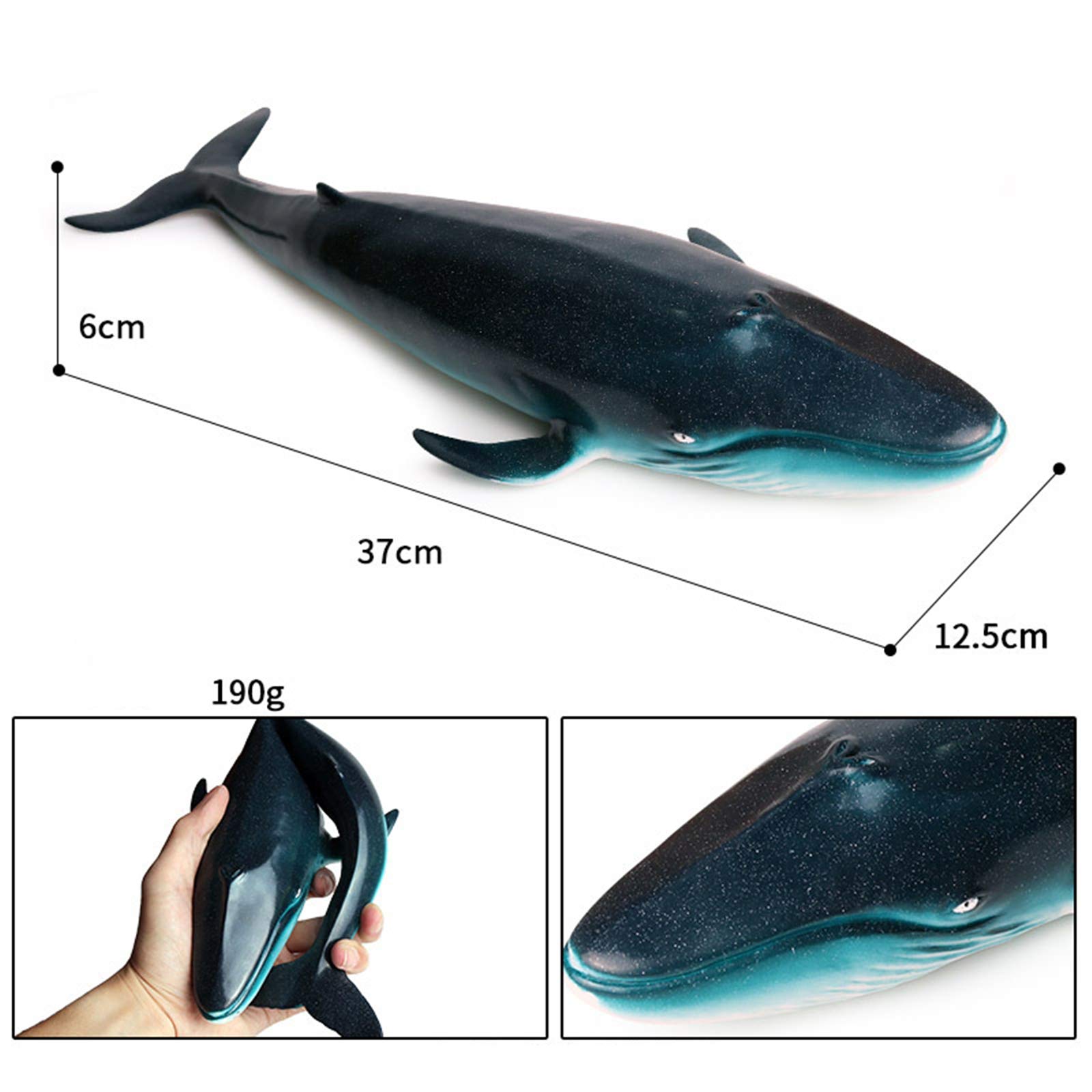 Amazon.co.jp: Eden Toys クジラ 鯨 海洋動物 動物 シロナガスクジラ