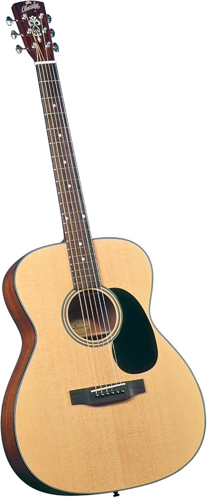 Amazon.com: Blueridge BR-43 Contemporary Series 000 Guitar