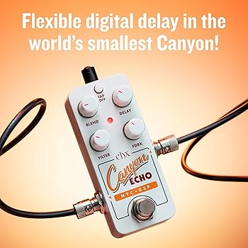 Amazon.com: Electro-Harmonix Pico Canyon Echo Delay Pedal