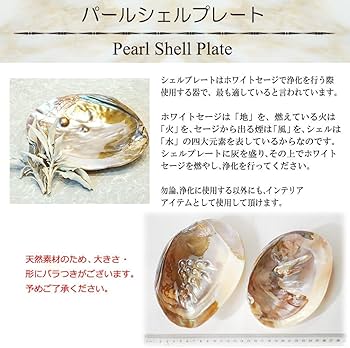 71qNG8k8ZAL._AC_UF350,