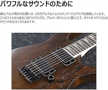 Amazon | GIO Ibanez 初心者向けエレキギター (ブラック・フラット