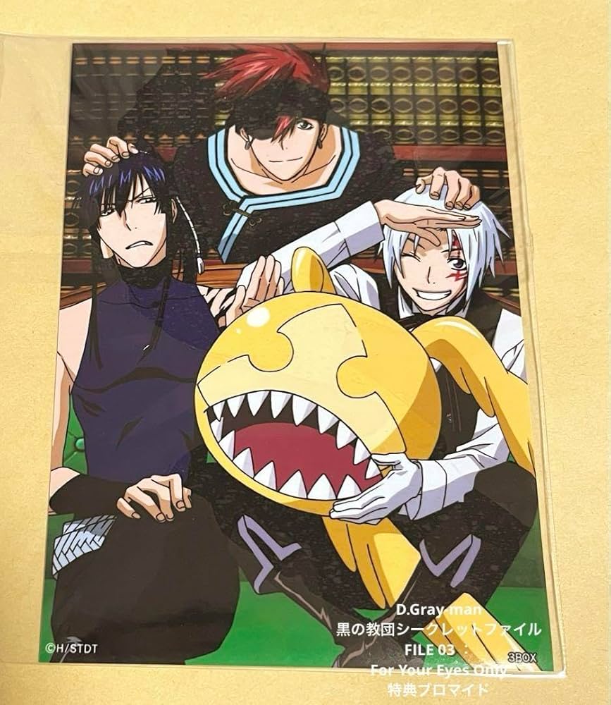 Amazon.co.jp: D.Gray-man BOX購入特典 アレン 神田 ラビ : ホビー
