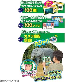 Amazon | タカラトミー(TAKARA TOMY) 小学館の図鑑NEOPad DX 【日本