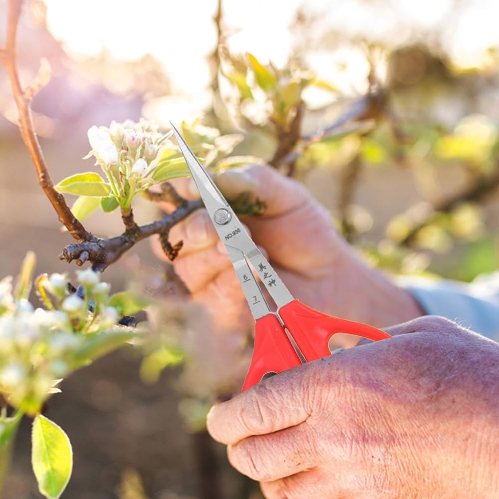 71qi-KMP7VL._AC_UF1000,