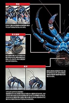 Amazon.co.jp: いきもの大図鑑プレミアム ヤシガニ : おもちゃ