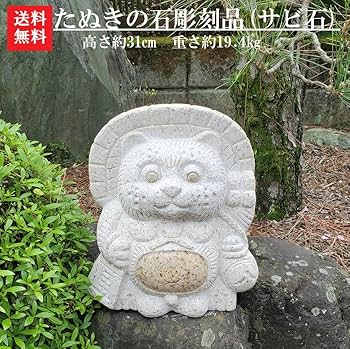 71r0pQtOVqL._AC_UF350,