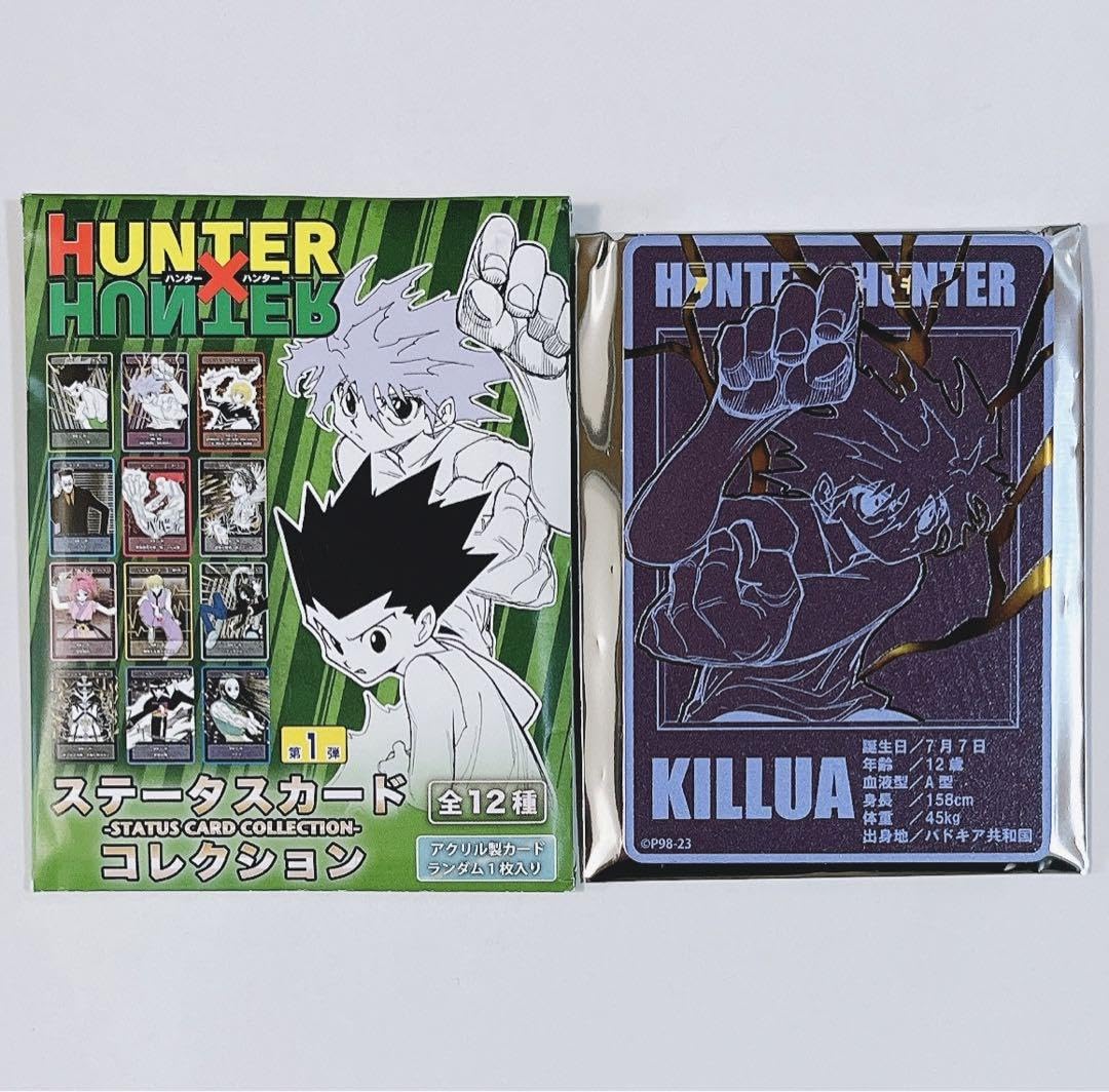 HUNTER×HUNTER カードコレクションL キルア 下敷き No.14 HUNTER