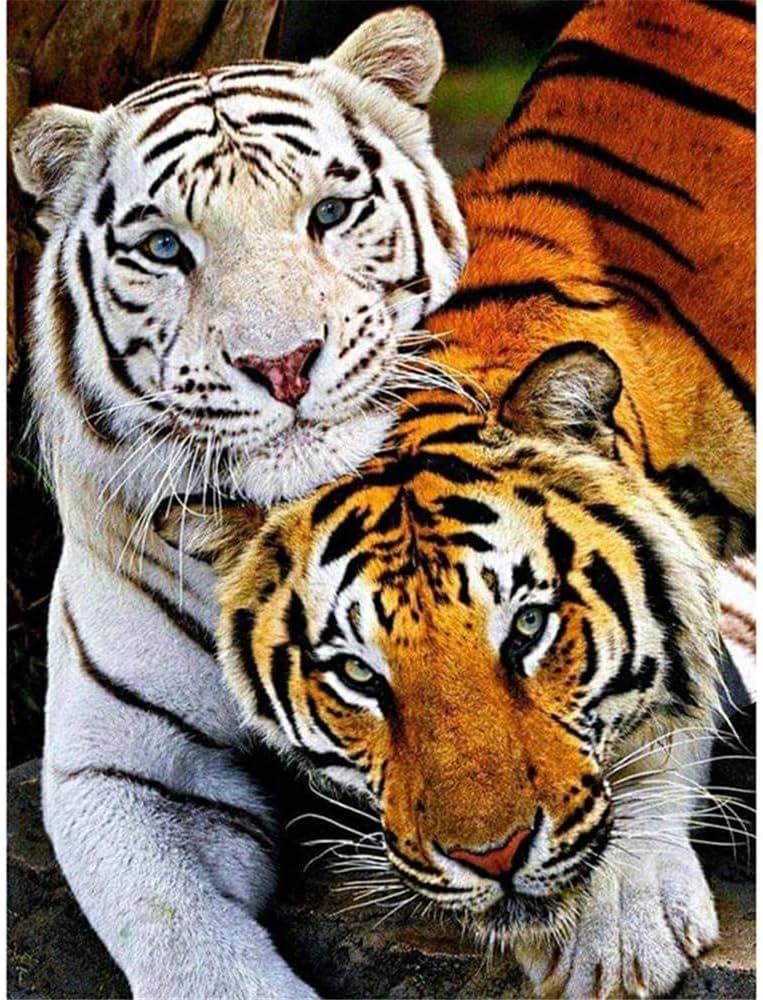 Amazon | パズル-2匹のトラが接近-1000個のクリエイティブ