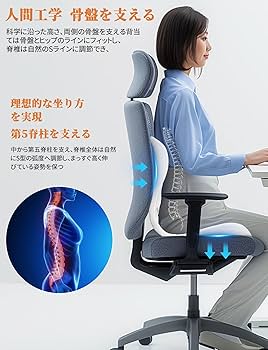 Amazon.co.jp: 【Amazon.co.jp限定】姿勢矯正 椅子 姿勢サポートチェア