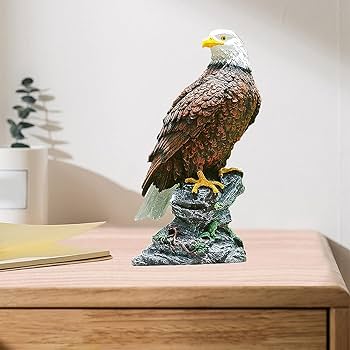 71rJEtdd3iL._AC_UF350,