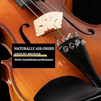 Amazon | Ktaxon バイオリン 4/4 フルサイズ 大人&子供用 無垢材