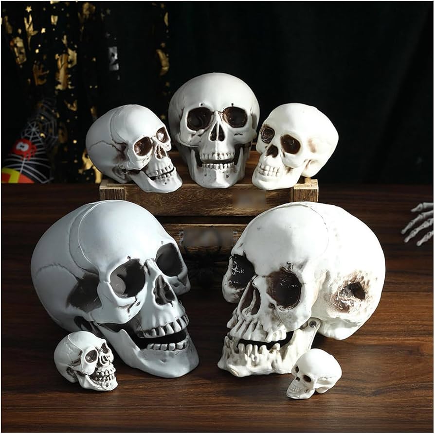 Amazon | ハロウィン 置物 3個入 ハロウィン 飾り 頭骸骨 ドクロ