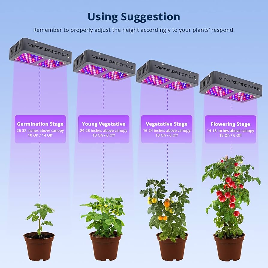 71rcXt8NbaS._AC_UF894,