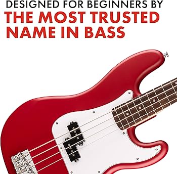Amazon.com: Fender Squier Debut Series Precision Bass Guitar