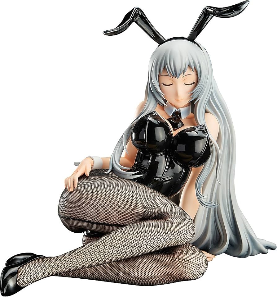 Amazon.co.jp: 一騎当千 Extravaganza Epoch 趙雲子龍 バニーVer. 1/4