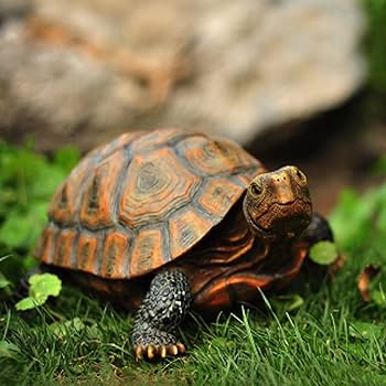 Amazon.co.jp: LxRx9 カメ 置物 リアルな亀の置物 縁起物 幸運 動物