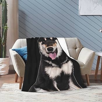 Amazon｜毛布 柴犬 犬柄 黒柴 アニメ 軽量 ブランケット フランネル