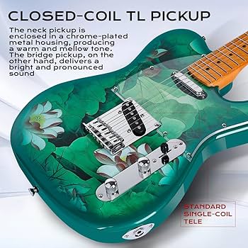 Amazon | Bullfighter エレキギター TLテレキャスター大人 初心者