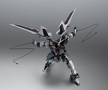 Amazon | TAMASHII NATIONS ROBOT魂 機動戦士ガンダムSEED C.E.73