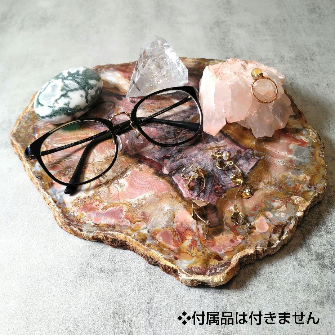 珪化木プレート ペトリファイドウッド No.901 珪化木プレートペトリ