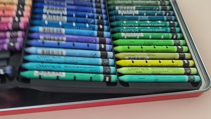 Amazon.com: Caran d'Ache Classic Neocolor II Water-Soluble Pastels