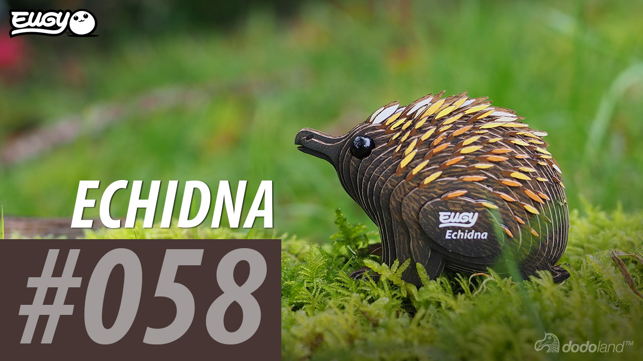 Amazon.com: Eugy Echidna 3D Puzzle - 26 Piece Eco-Friendly