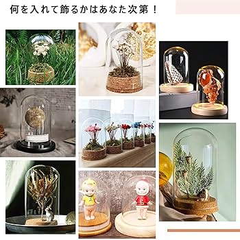 Amazon.co.jp: ガラスドーム 透明ガラスドーム 木製ベース ガラス
