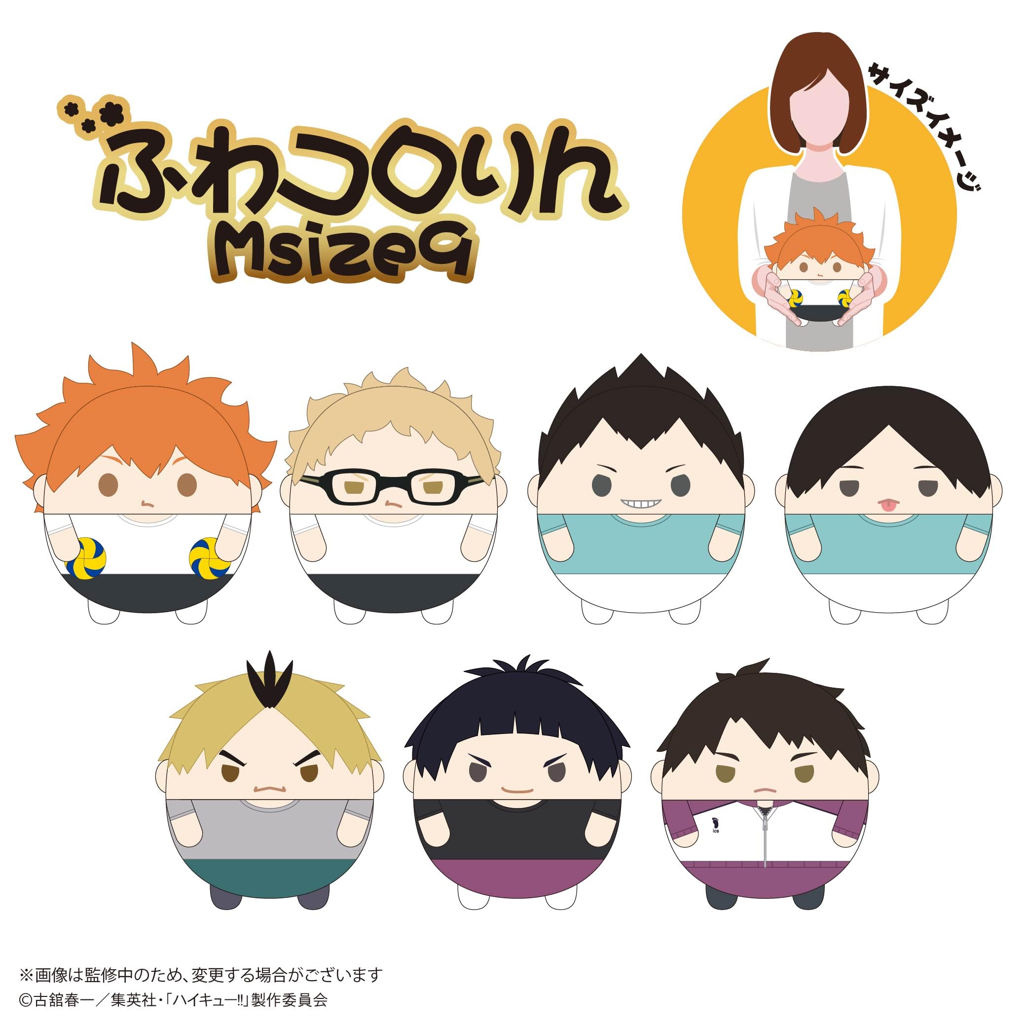 Amazon.co.jp: ハイキュー!! ふわコロりんMsize9 D：国見 英 : おもちゃ