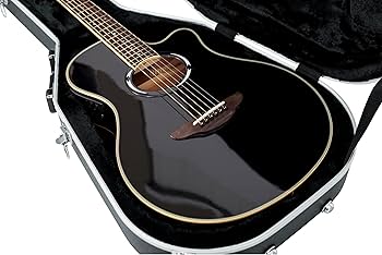 Amazon.com: Gator Cases Deluxe ABS Molded Guitar Case for Acoustic