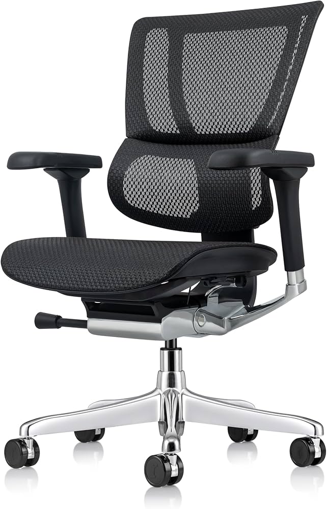 Amazon.com: Ergohuman Eurotech ME3ERG-XTREME Mid Back Mesh Office