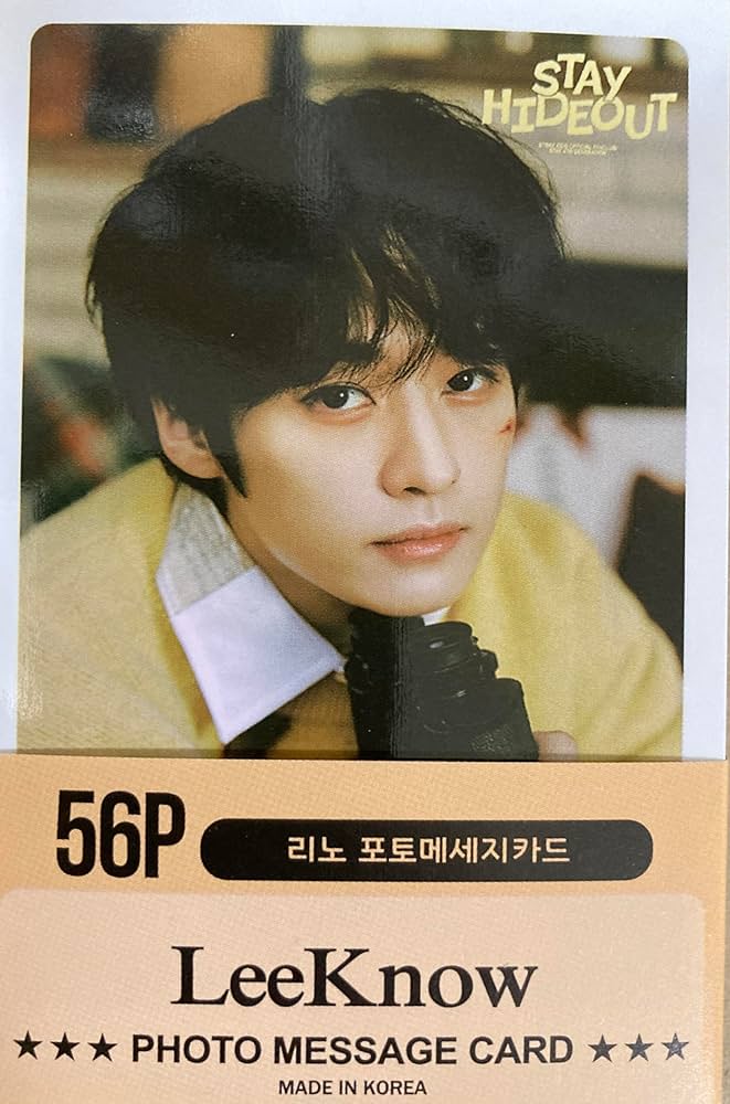 Amazon.co.jp: スキズ リノ グッズ フォトカード56枚セット メッセージ