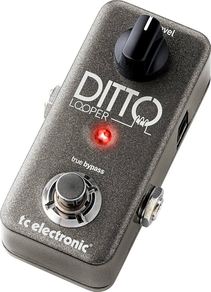 Amazon.com: TC Electronic DITTO LOOPER Highly Intuitive Looper