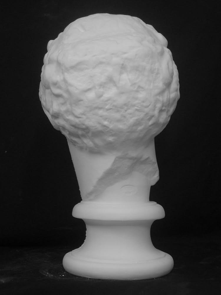 816Mf-Ano4L._AC_UF894,