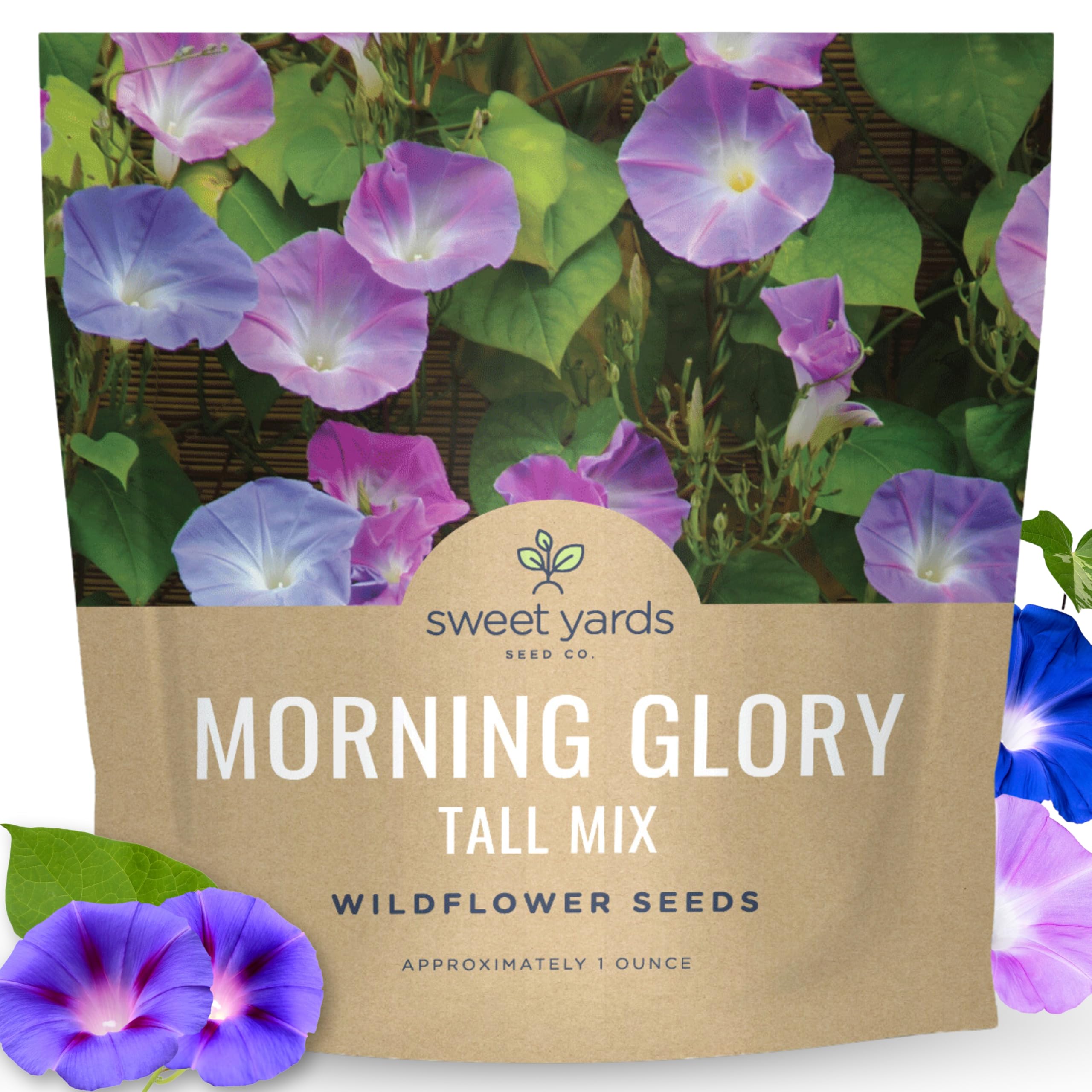Amazon.com : Morning Glory Tall Mix - Large 1 Ounce Packet - 750