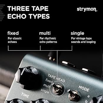 Amazon | Strymon/El Capistan V2 エル・キャピスタン テープエコー