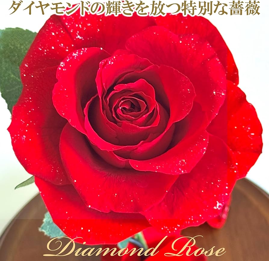 Amazon｜プリザーブドフラワー 赤いバラ 美女と野獣 ガラスドーム入り