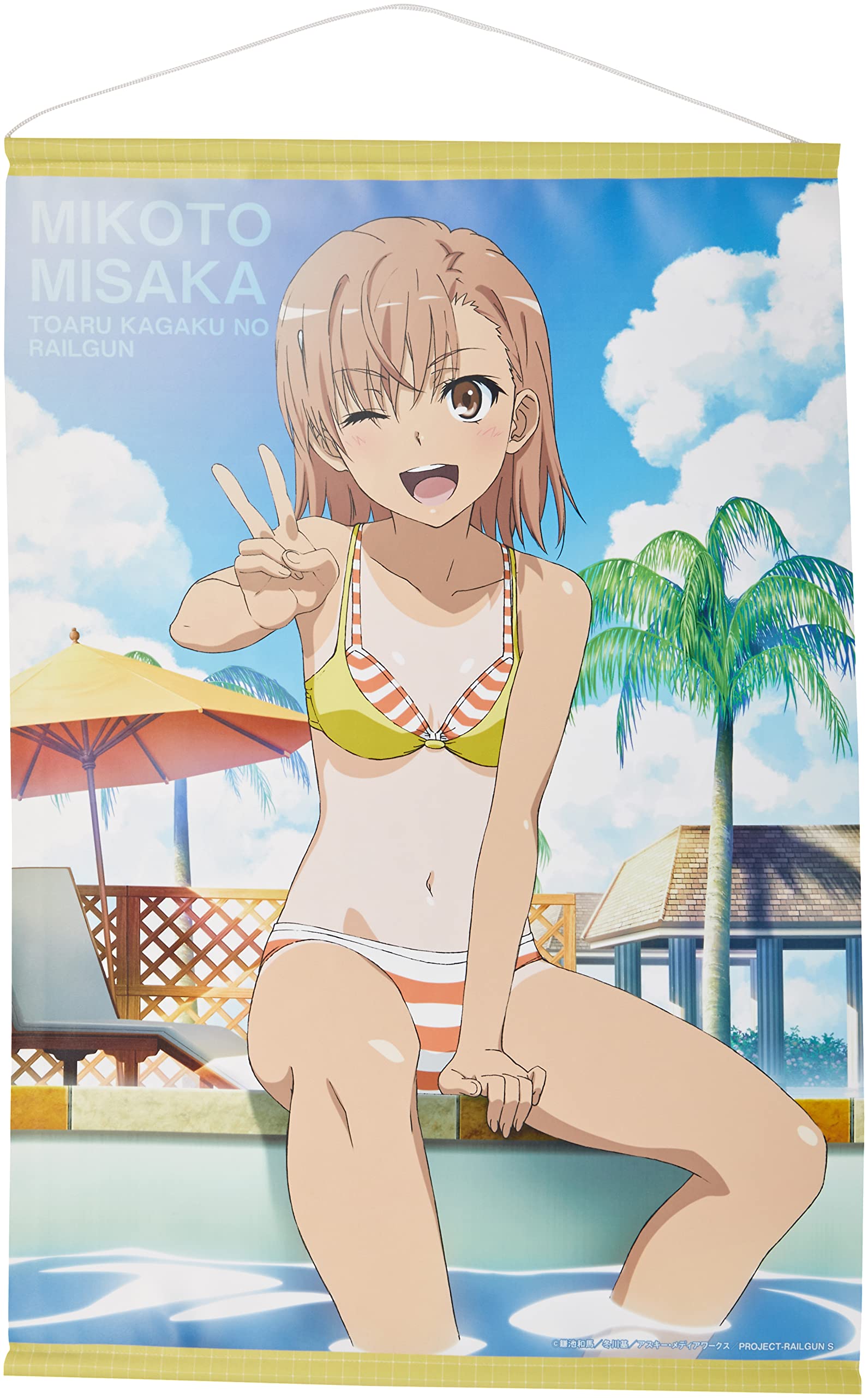 Amazon.co.jp: ライセンスエージェント(License Agent) とある科学の超